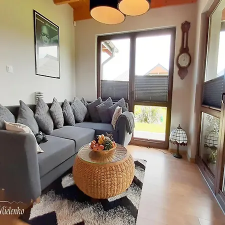 Large, Comfortable Home, Sauna, Jacuzzi Mielenko
