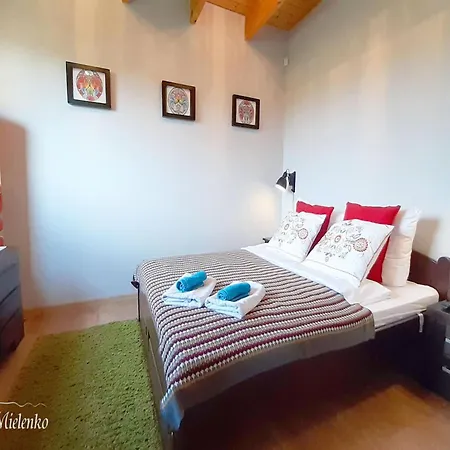 Large, Comfortable Home, Sauna, Jacuzzi Mielenko