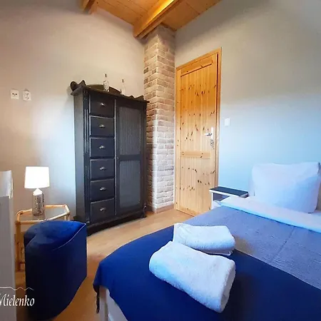 Large, Comfortable Home, Sauna, Jacuzzi * Mielenko